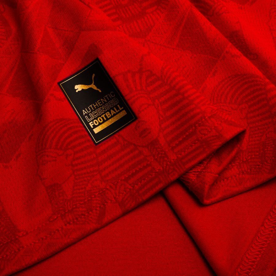 Egypt 2025/26 Home Replica Jersey Adults