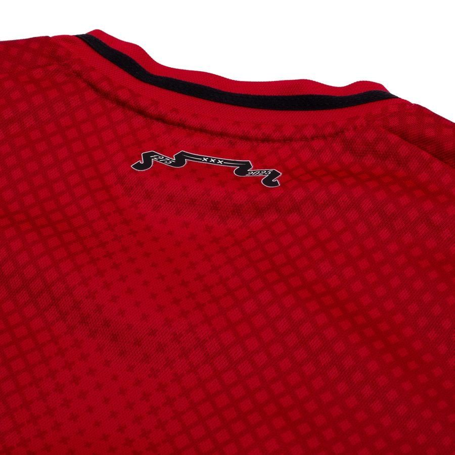 Ajax Home 2025/26 Replica Jersey Adults